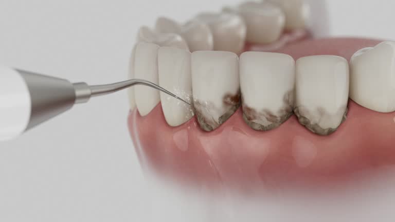 Reliable Dental contractor in Frankfort, KY by Dentist Open Now